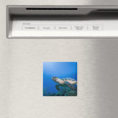 Caymaneilanden, Little Cayman Island, Underwater 2 Magneet (Insitu (Vaatwasser))