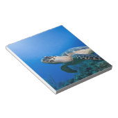 Caymaneilanden, Little Cayman Island, Underwater 2 Notitieblok (Schuin)