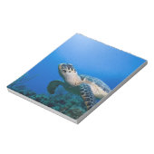 Caymaneilanden, Little Cayman Island, Underwater 2 Notitieblok (Linkerzijde)