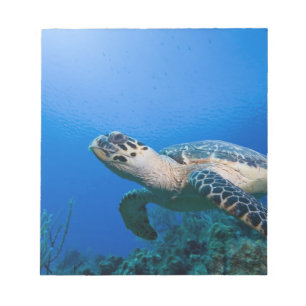 Caymaneilanden, Little Cayman Island, Underwater 2 Notitieblok