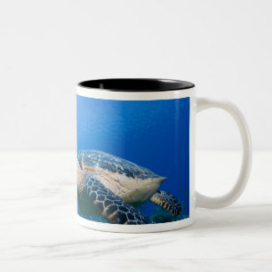 Caymaneilanden, Little Cayman Island, Underwater 2 Tweekleurige Koffiemok