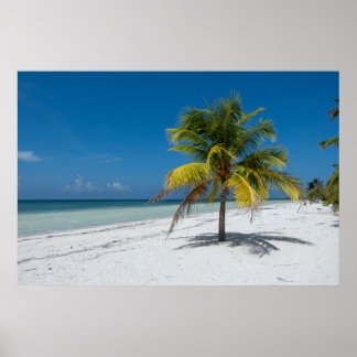 Cayo Blanco-strand in Cuba Poster