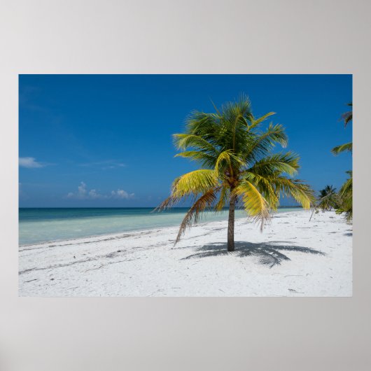 Cayo Blanco-strand in Cuba Poster (Voorkant)