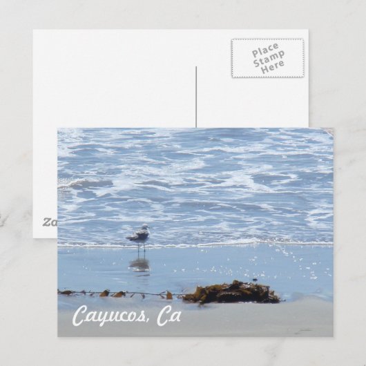 Cayucos Ca Briefkaart (Voorkant / Achterkant)