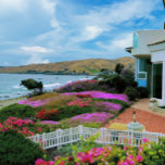 Cayucos California Legpuzzel<br><div class="desc">Deze stijlvolle puzzel beschikt over een prachtige foto van bloemen in bloei tegen de golven in Cayucos, Californië. Dit pittoreske kleine strandstadje is echt een perfect tafereel van het kustleven in kleine steden, ver van het verkeer en de mensen van zowel de Bay Area als het Los Angeles Basin. Gelegen...</div>
