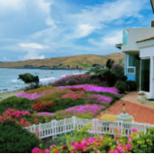 Cayucos California Legpuzzel