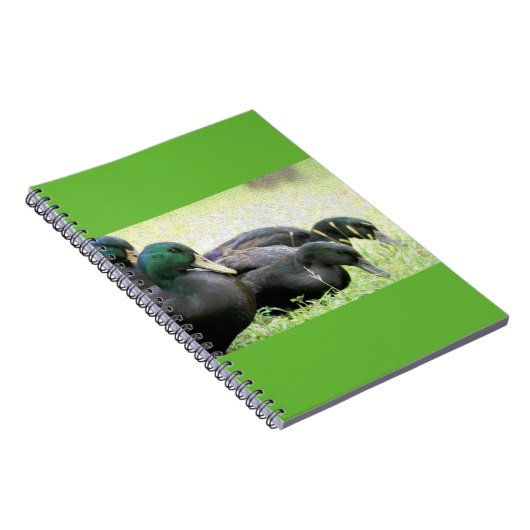 Cayuga Black Ducks Fine Art-laptop Notitieboek (Rechterzijde)