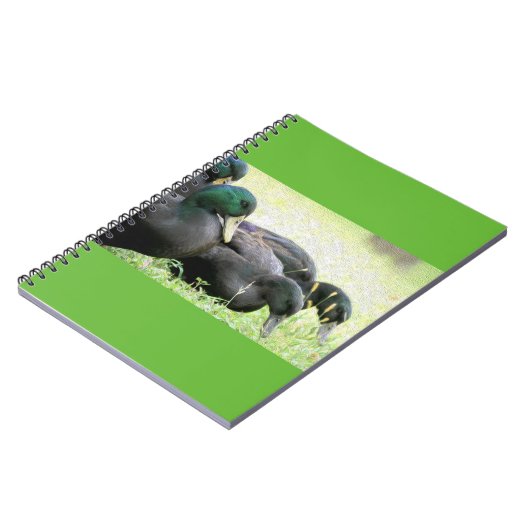 Cayuga Black Ducks Fine Art-laptop Notitieboek (Linkerzijde)