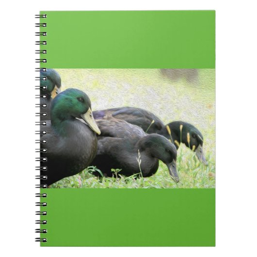 Cayuga Black Ducks Fine Art-laptop Notitieboek (Voorkant)