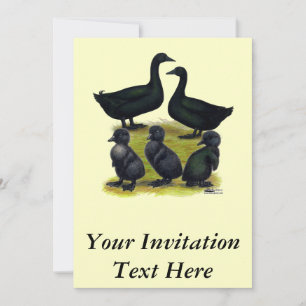 Cayuga Duck Familie Kaart