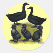 Cayuga Duck Ronde Sticker (Voorkant)