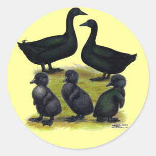 Cayuga eendenfamilie ronde sticker