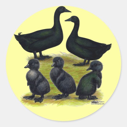 Cayuga eendenfamilie ronde sticker (Voorkant)