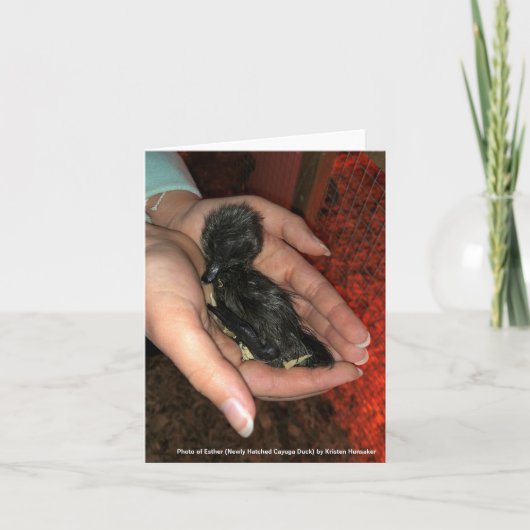 Cayuga Hatchling Kaart (Voorkant)