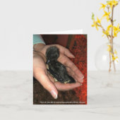 Cayuga Hatchling Kaart (Gele Bloem)