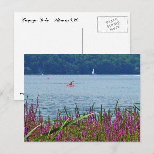 CAYUGA LAKE, ITHACA, N.Y.-briefkaart Briefkaart (Voorkant / Achterkant)