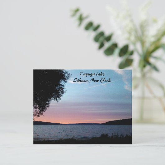 CAYUGA LAKE, NACHTE HERFSTEN briefkaart (Staand voorkant)