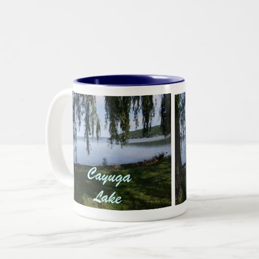 CAYUGA LAKE, STUART PARK mok (Voorkant links)