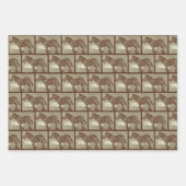 CBC 1966 - Natuur van de dingen Inpakpapier Vel (Voorkant 2)