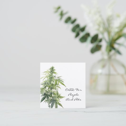 CBD WATERVERF PLANT VIERKANTE VISITEKAARTJE (Staand voorkant)