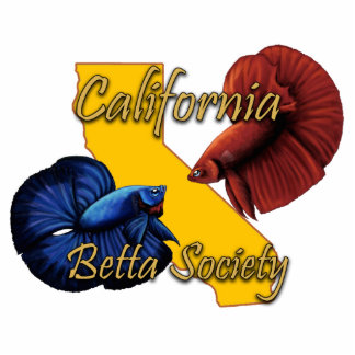 CBS Magnet Fotobeeldje Magneet