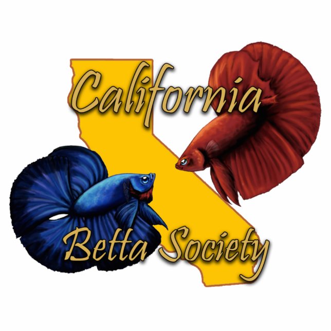 CBS Magnet Fotobeeldje Magneet (Voorkant)