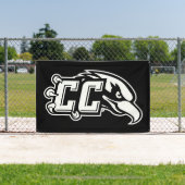 CC Thunderbird-logo Spandoek (Insitu)