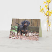 CC - "wij missen u" tekkelkaart Kaart (Gele Bloem)