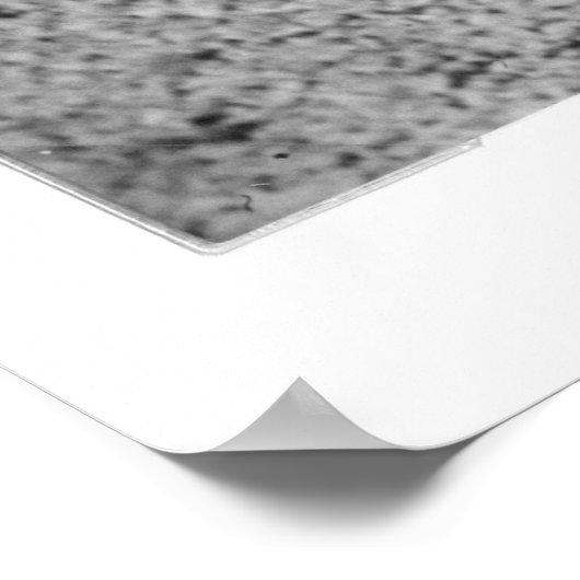 CCC Forest Service Truck - Poster (Hoek)