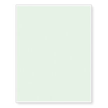 #CCFFCC de Lichte Groene Munt van de Kleur van het