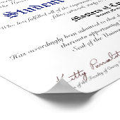 CCLU Diploma - zeeslacht van de marine - Kattenpor Poster (Hoek)