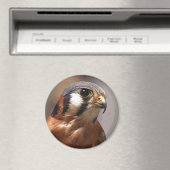 CD2 017 MAGNEET (Insitu (Vaatwasser))