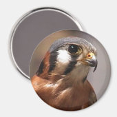 CD2 017 MAGNEET (Voorkant / Achterkant)