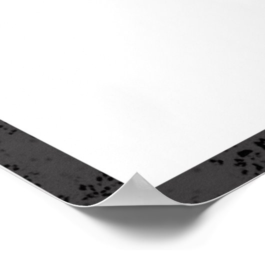 cd-stylist poster (Hoek)