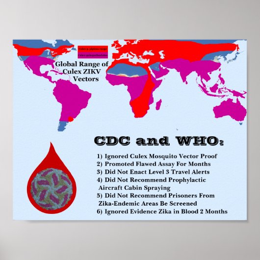 CDC en WHO hebben burgers niet door RoseWrites bes Poster (Voorkant)