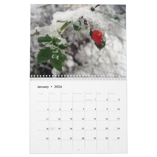 CdG 2010 Kalender (Jan 2026)