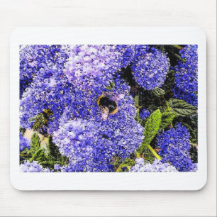 Ceanothus Flower Bee Muismat