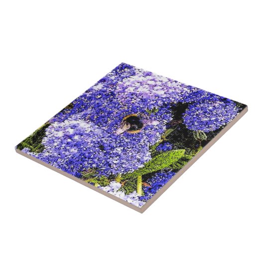 Ceanothus Flower Bee Tegeltje (Zijkant)