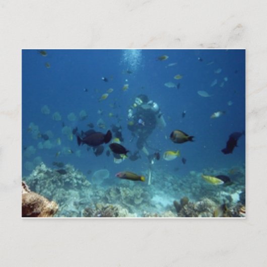 Cebu Diving Briefkaart (Voorkant)