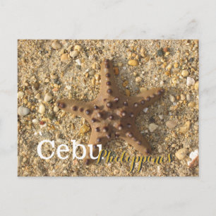 Cebu Filipijnen Bruin Starfish Briefkaart