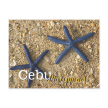 Cebu Filippijnen Blue Starfish