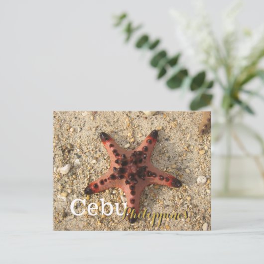 Cebu Filippijnen Tiger Starfish Briefkaart (Staand voorkant)