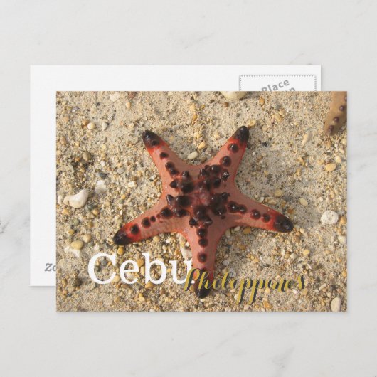 Cebu Filippijnen Tiger Starfish Briefkaart (Voorkant / Achterkant)