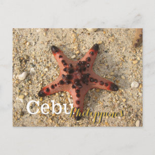 Cebu Filippijnen Tiger Starfish Briefkaart