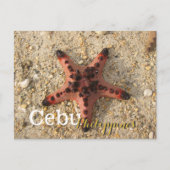 Cebu Filippijnen Tiger Starfish Briefkaart (Voorkant)