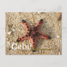 Cebu Filippijnen Tiger Starfish Briefkaart