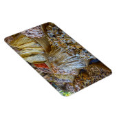 Cebu-markt Magneet (Rechterzijde)