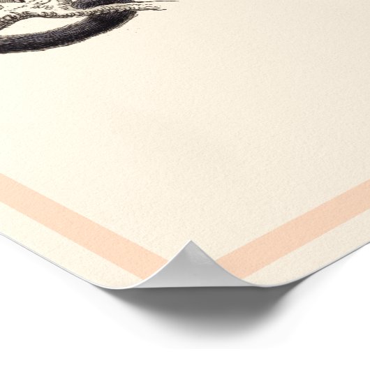 CEBUS MONACHUS MONKEY PRINT (Hoek)