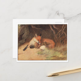 Cecil Aldin Briefkaarten