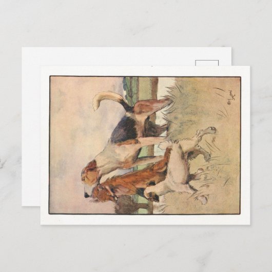 Cecil Aldin Briefkaarten (Voorkant / Achterkant)